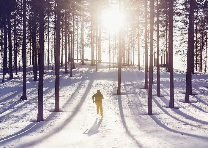 Apartment Sport Vuokatti